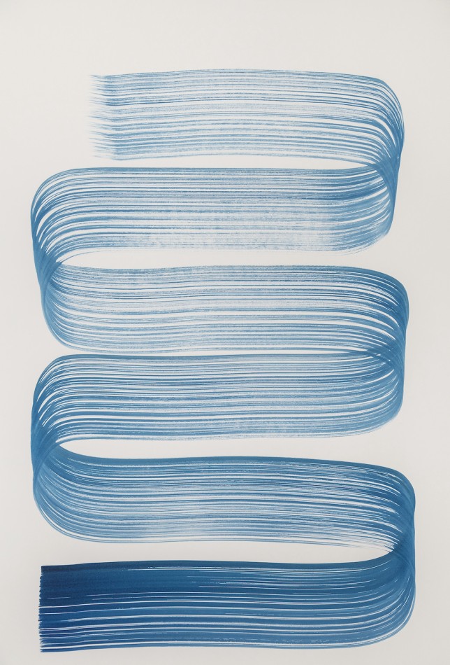 blue continuous line